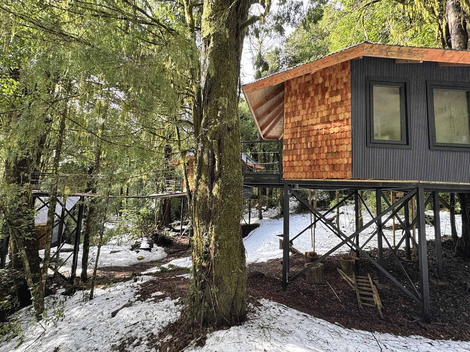 Módulo de Aldea Huilo Huilo elevado sobre apoyos, junto a árboles y suelo nevado.